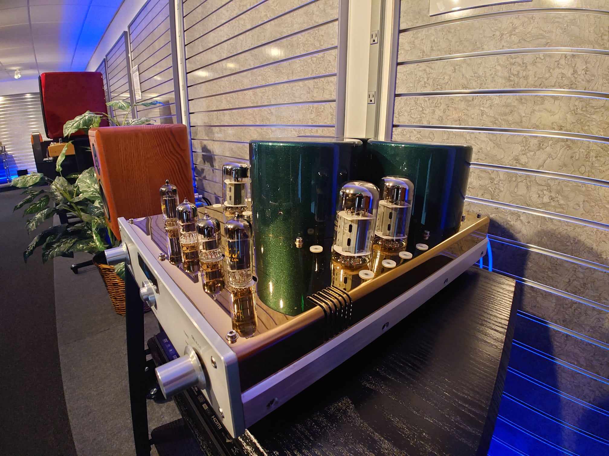 Yaqin tube amp close up of ride side